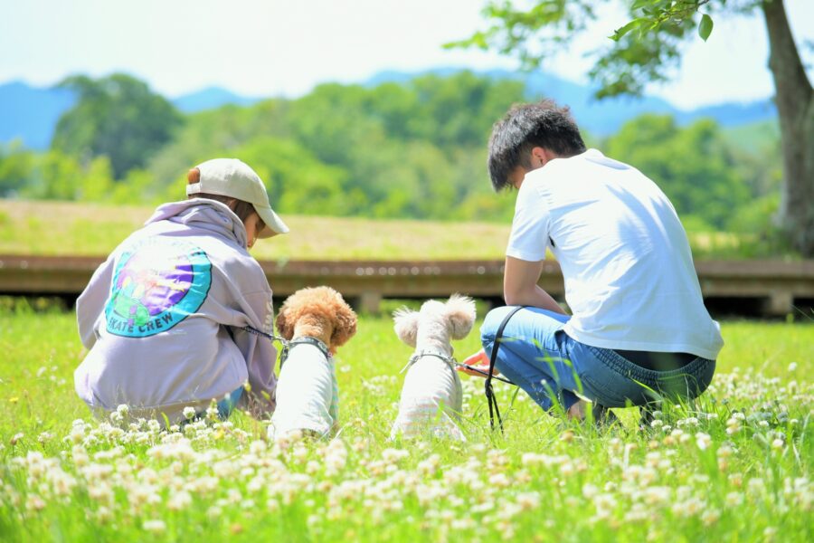 30代女性★家族構成ご夫婦